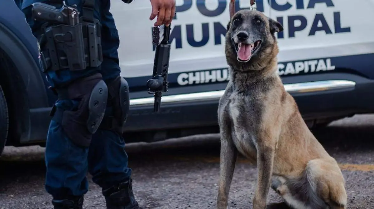 OFICIAL CANINO ULTIMO ADIOS-cts-MPIO (2)